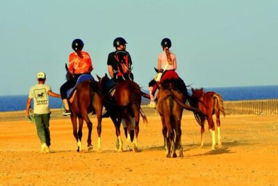 Horseback riding in Marsa Alam and Port Ghalib - Morning Desert-and-Beach Plan vs Sunset Photo Route