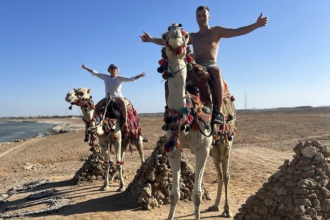 Horseback riding in Marsa Alam and Port Ghalib - The Desert Segment: Views, Pace, and Why It Feels Special