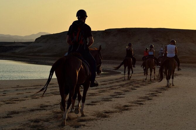 Horseback riding in Marsa Alam and Port Ghalib - Finishing With the Sea: The Cooling Contrast