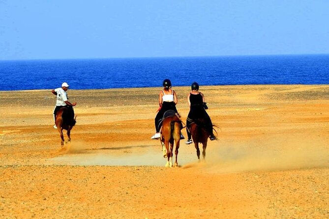 Horseback riding in Marsa Alam and Port Ghalib - Pickup, Private Group, and What $58.61 Buys You
