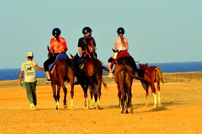 Horseback riding in Marsa Alam and Port Ghalib - Morning Desert-and-Beach Plan vs Sunset Photo Route
