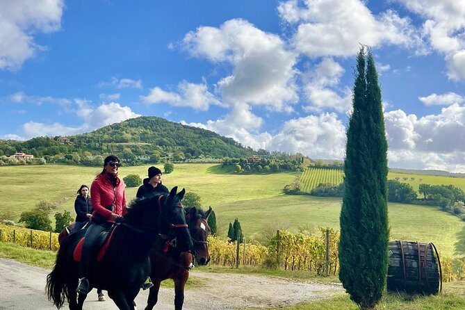 Horseback riding in Montepulciano Tuscany, lunch on the farm - Key Highlights You’ll Care About