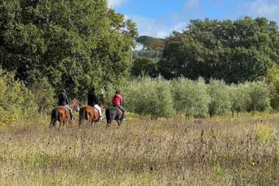 Horseback riding in Montepulciano Tuscany, lunch on the farm - The 4.5-Hour Timeline: What Happens From 10:30 to Back at the Farm