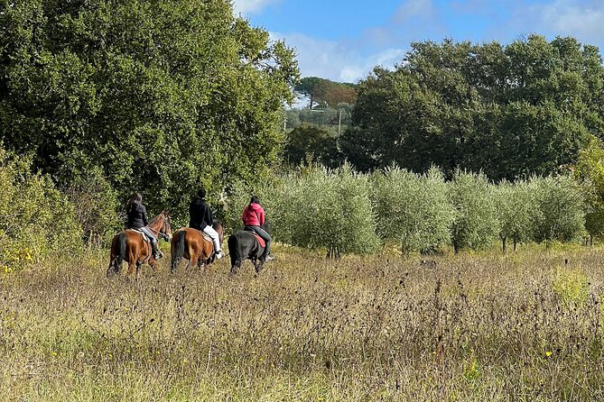Horseback riding in Montepulciano Tuscany, lunch on the farm - The 4.5-Hour Timeline: What Happens From 10:30 to Back at the Farm