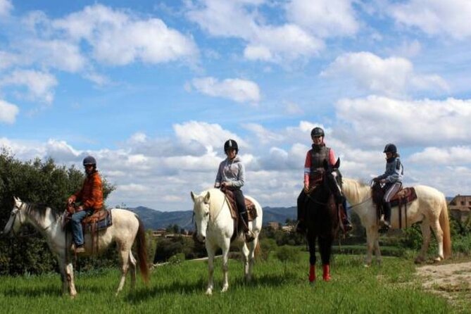 Horseback Riding in Montserrat Mountain Natural Park, Barcelona - 1 to 2 hrs - Key Highlights You’ll Care About