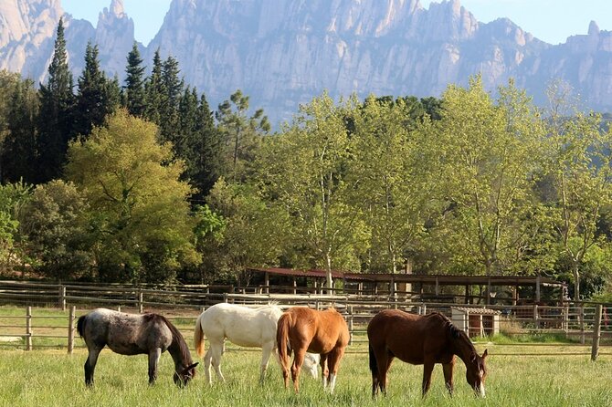 Horseback Riding in Montserrat Mountain Natural Park, Barcelona - 1 to 2 hrs - Small Group Attention: Why Max 6 People Changes Everything