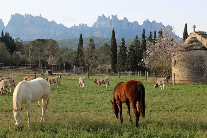 Horseback Riding in Montserrat Mountain Natural Park, Barcelona - 1 to 2 hrs - Price and Value: Is $80.44 Worth It for 2 Hours?