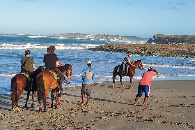 Horseback riding in punta cana beach and Bayahibe - Private attention vs shared transport: what to expect in practice