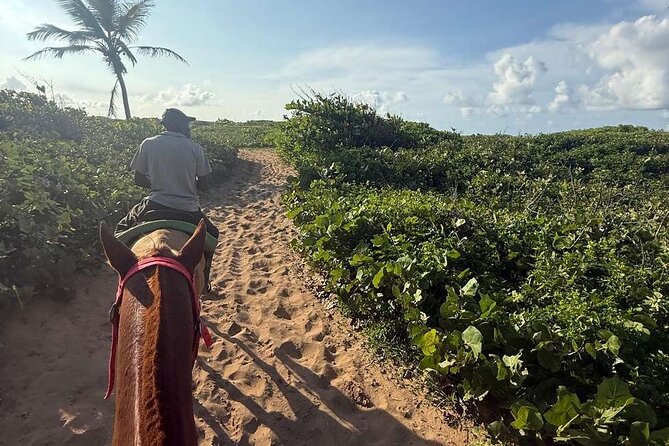 Horseback riding in punta cana beach and Bayahibe - Price and value: is $45 worth it?