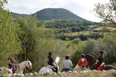 Horseback Riding in Randa Valleys, Mallorca, Spain - First Contact: The 30 Minutes You Spend Practicing on Horseback