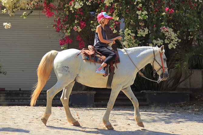 Horseback Riding in Sayulita - A 1-Hour Jungle-to-Beach Ride in Sayulita
