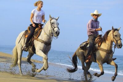 Horseback Riding in Sayulita Through Jungle Trails to the Beach - Meet the Horses: Safety Briefing and Rider Matching