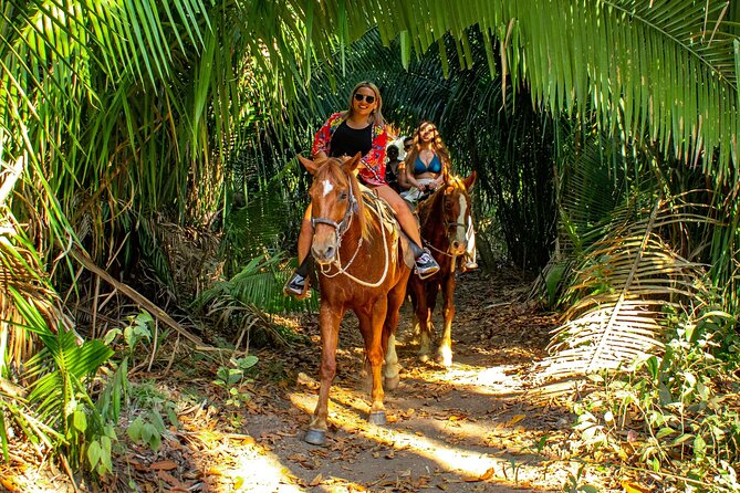 Horseback Riding in Sayulita Through Jungle Trails to the Beach - Sunset Ride Tips: Mosquitoes, Coverage, and Night-Light Magic