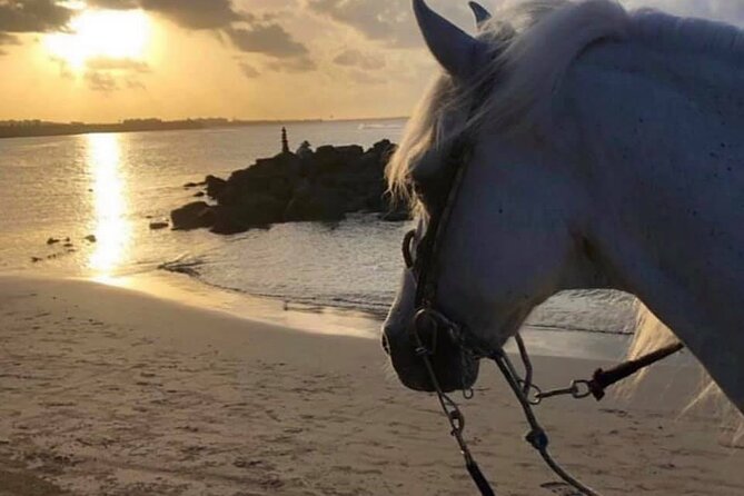 Horseback Riding in Sayulita Through Jungle Trails to the Beach - On-Site Amenities and Photo Reality (What to Expect Without Surprises)