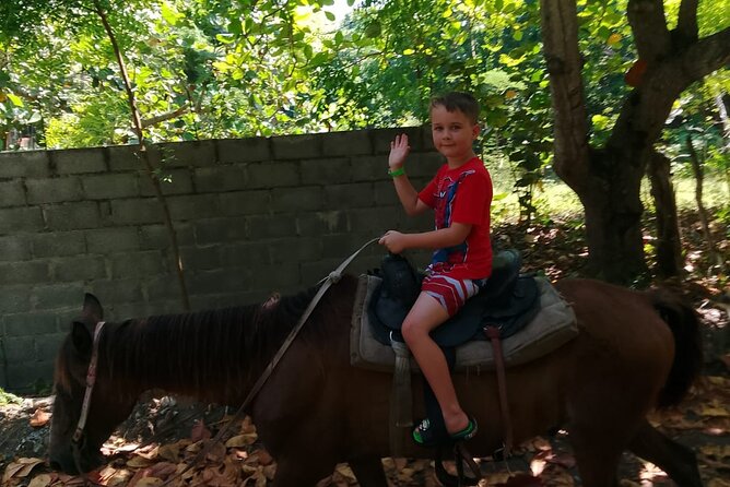 Horseback Riding in the Dominican Countryside from Puerto Plata - Getting There: Puerto Plata Pickup and Air-Conditioned Roundtrip Comfort