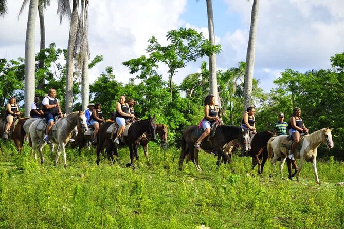 Horseback Riding in the Dominican Jungle - The BBQ lunch and open bar: what’s included (and what to watch for)