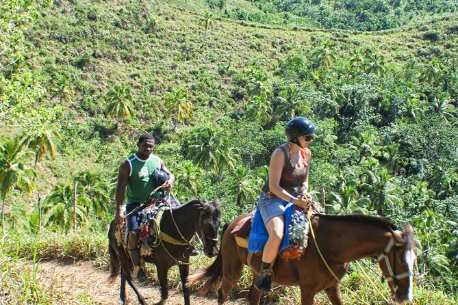 Horseback Riding in the Dominican Jungle - Price and value: is $69.99 a smart deal or a gamble?