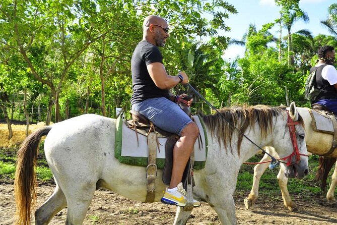Horseback Riding in the Dominican Jungle - Who should book this tour (and who should skip it)