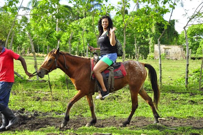 Horseback Riding in the Dominican Jungle - Should you book this horseback + Saona day?