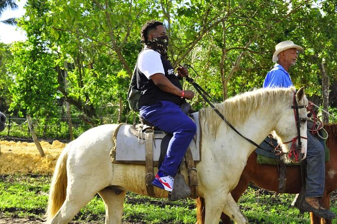 Horseback Riding in the Dominican Jungle - FAQ
