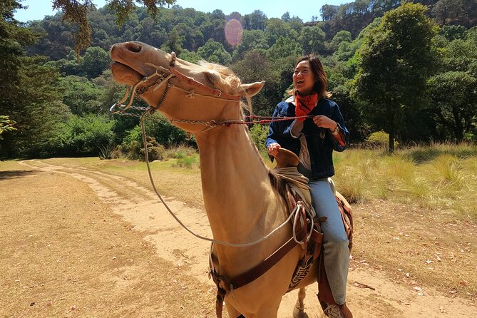 Horseback Riding in the Forest and Breakfast in Cabin - Key highlights you’ll actually care about