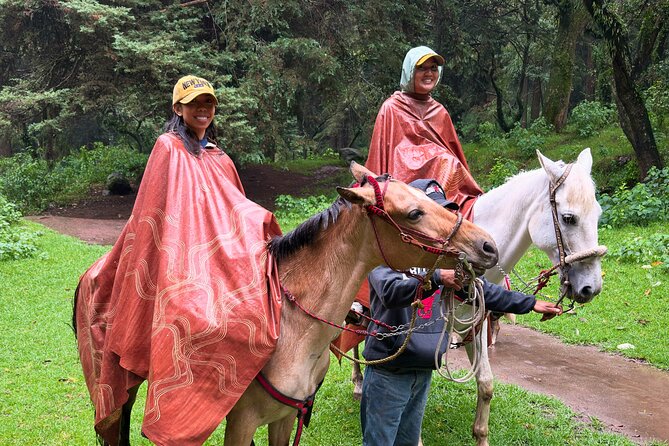 Horseback Riding in the Forest and Breakfast in Cabin - Starting at Fuente de Cibeles: a simple morning that gets you out of CDMX fast