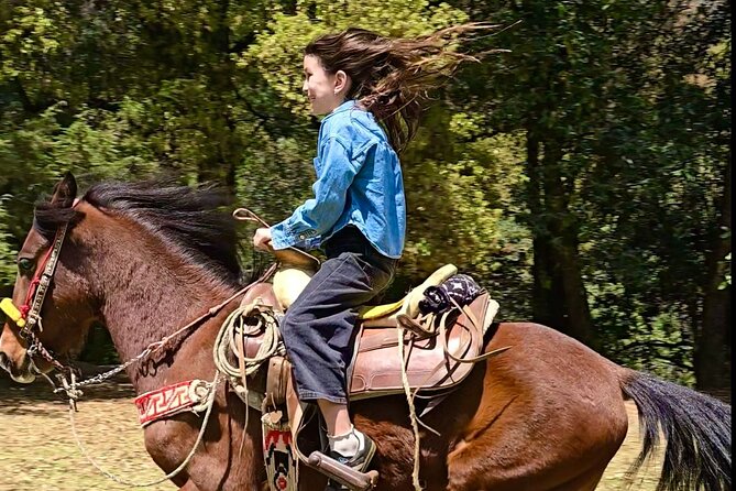 Horseback Riding in the Forest and Breakfast in Cabin - Timing and rhythm: how a 5-hour day stays comfortable