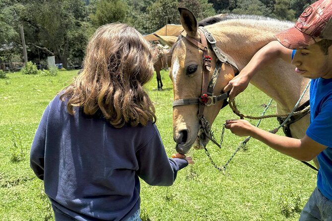 Horseback Riding in the Forest and Breakfast in Cabin - Value check: is $161.20 worth it?