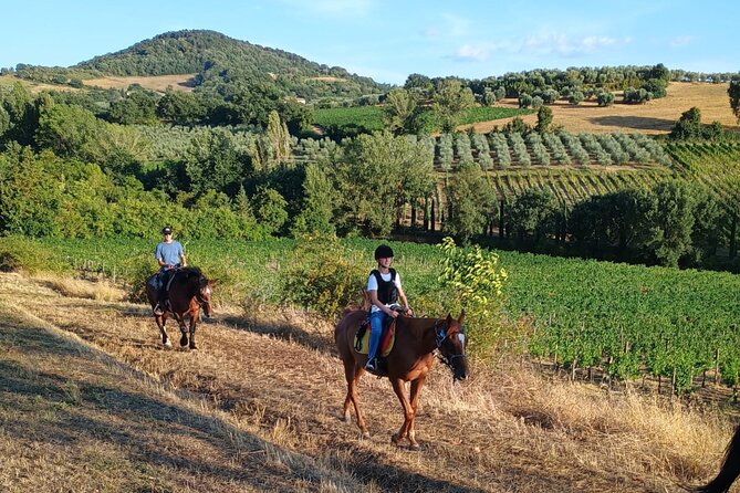 Horseback riding in the hills of Montepulciano in Tuscany - Key Highlights You’ll Actually Care About