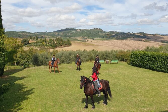 Horseback riding in the hills of Montepulciano in Tuscany - What the One-Hour Ride Feels Like Through Vineyards and Hills