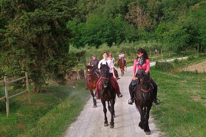 Horseback riding in the hills of Montepulciano in Tuscany - Guide Energy and Language: What English Support Means