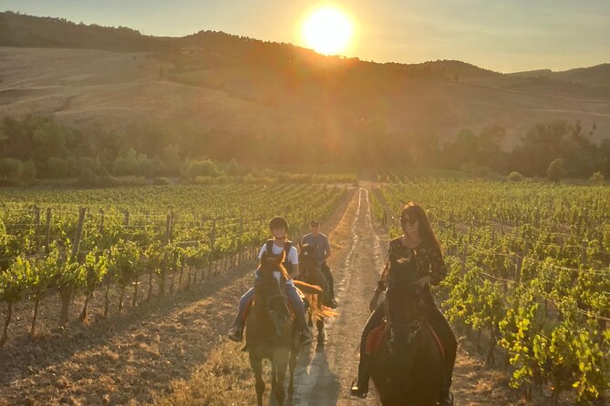 Horseback riding in the hills of Montepulciano in Tuscany - How Safety Works When You Don’t Have Horse Experience