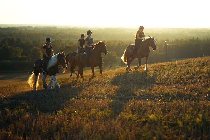 Horseback Riding in the Landscape - Horse Time at Metsapiiga Talu: What Makes It Worth Your Hour