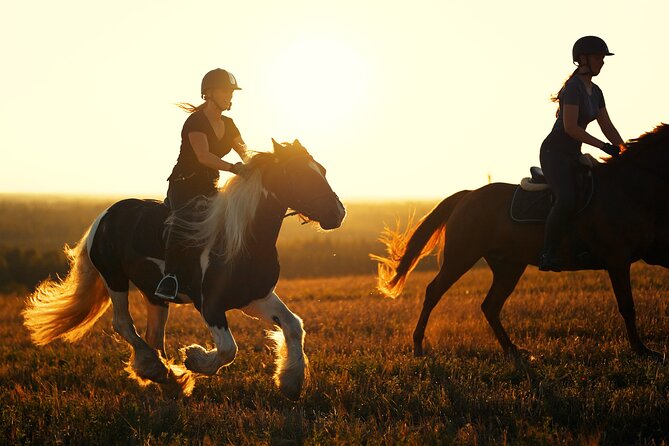 Horseback Riding in the Landscape - Helmets, Coffee, and Snacks: Small Details That Add Up