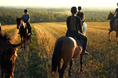Horseback Riding in the Landscape - The Pre-Ride Safety Briefing That Keeps It Relaxed