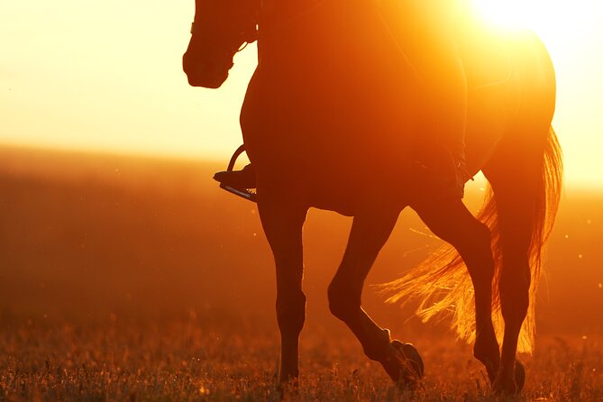 Horseback Riding in the Landscape - The Jõgevamaa Trail Ride: Fields, Forest Paths, and a Peaceful Pace
