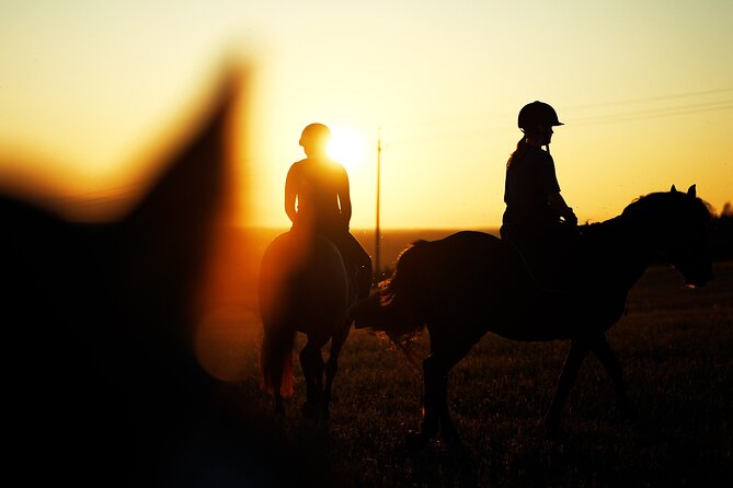 Horseback Riding in the Landscape - What You Do After the Ride Matters (More Than You Think)
