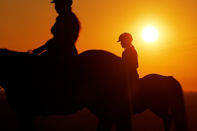 Horseback Riding in the Landscape - Price and Value: Is $93.49 a Good Deal?