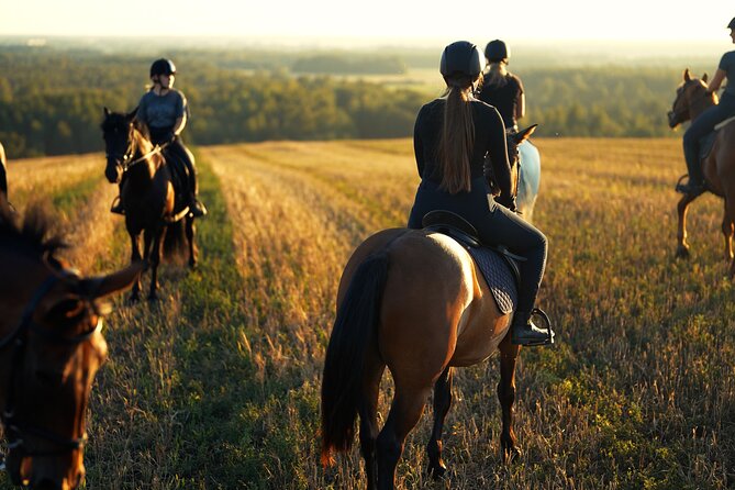 Horseback Riding in the Landscape - The Pre-Ride Safety Briefing That Keeps It Relaxed