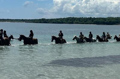 Horseback Riding in the Ocean from Ocho Rios & Runaway Bay - Arriving at the Horses: Guides for Beginners and Experienced Riders