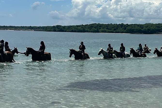 Horseback Riding in the Ocean from Ocho Rios & Runaway Bay - Arriving at the Horses: Guides for Beginners and Experienced Riders