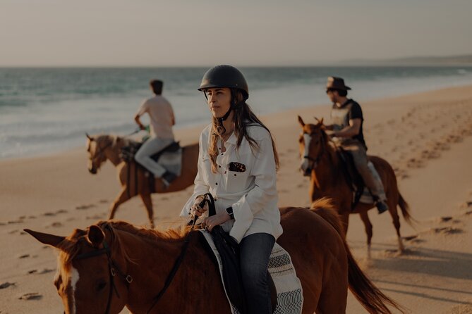 Horseback Riding In The Sand Dunes of Praia do Meco | LITS Horses - Price and Value: Is $156.53 Worth It?