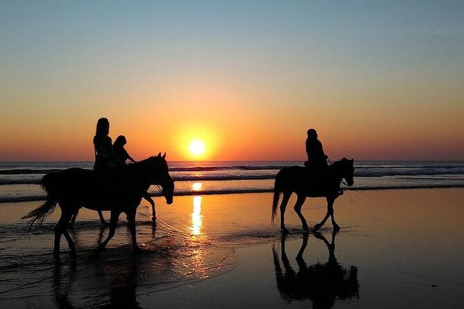 Horseback Riding in the sunset of Famara Beach, Lanzarote, Spain - Why Famara Beach Makes This Sunset Ride Feel Worth It