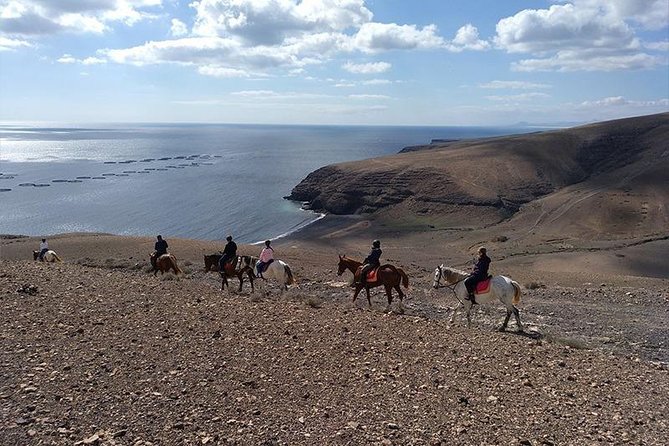 Horseback Riding in the sunset of Famara Beach, Lanzarote, Spain - Price Check: Is $282.56 Per Person Good Value Here?
