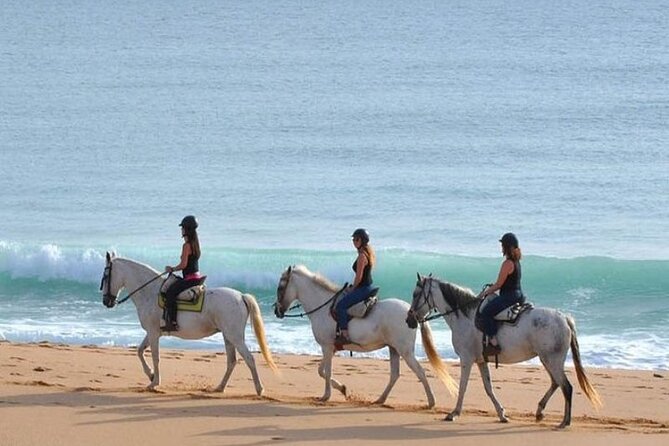 Horseback Riding in the sunset of Famara Beach, Lanzarote, Spain - Who This Sunset Horse Ride Is Best For