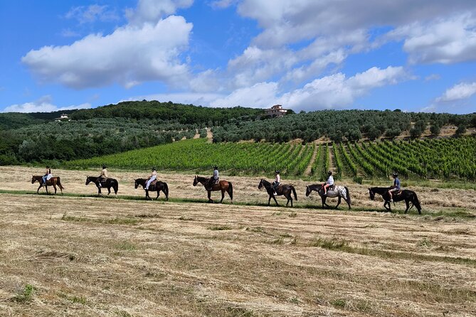 Horseback Riding in the Vineyards - Key things that make this ride special
