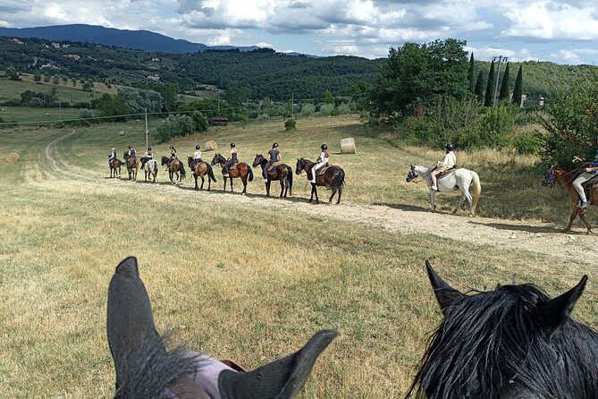 Horseback Riding in the Vineyards - Getting Oriented at Crazy Horse Ranch (helmet, safety, and that first practice)