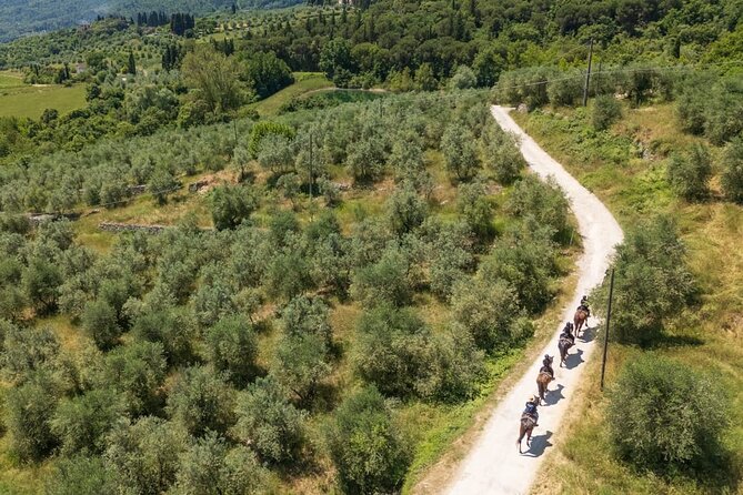 Horseback Riding in the Vineyards - The guide experience: stories, calm control, and CODU’s help