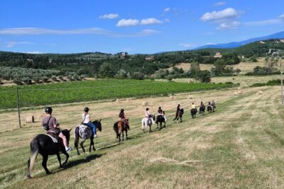Horseback Riding in the Vineyards - Vineyard rows, olive groves, and cypress-framed views