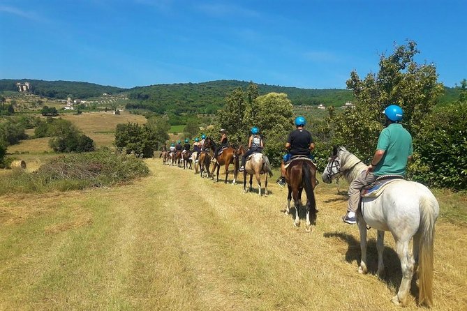 Horseback Riding in the Vineyards - Beginner-friendly in real life (not just marketing words)